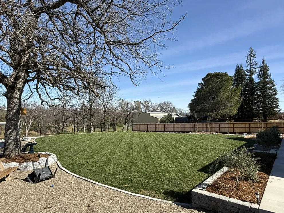 Trusted residential landscaping experts serving Redding, CA - Banderas Lawn Maintenance