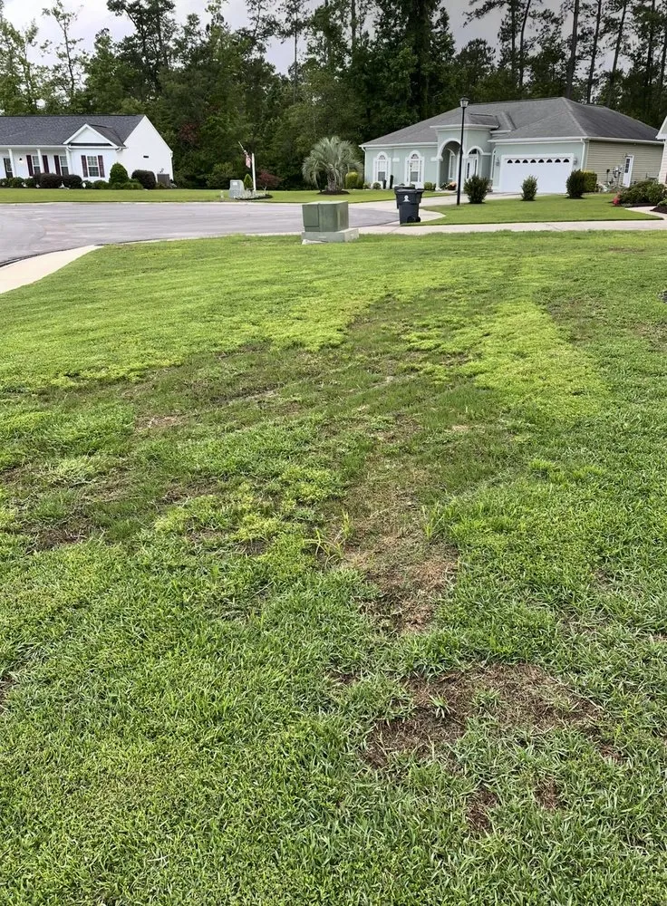 Trusted yard cleanup service experts serving Loris, SC - Bandidos Landscaping