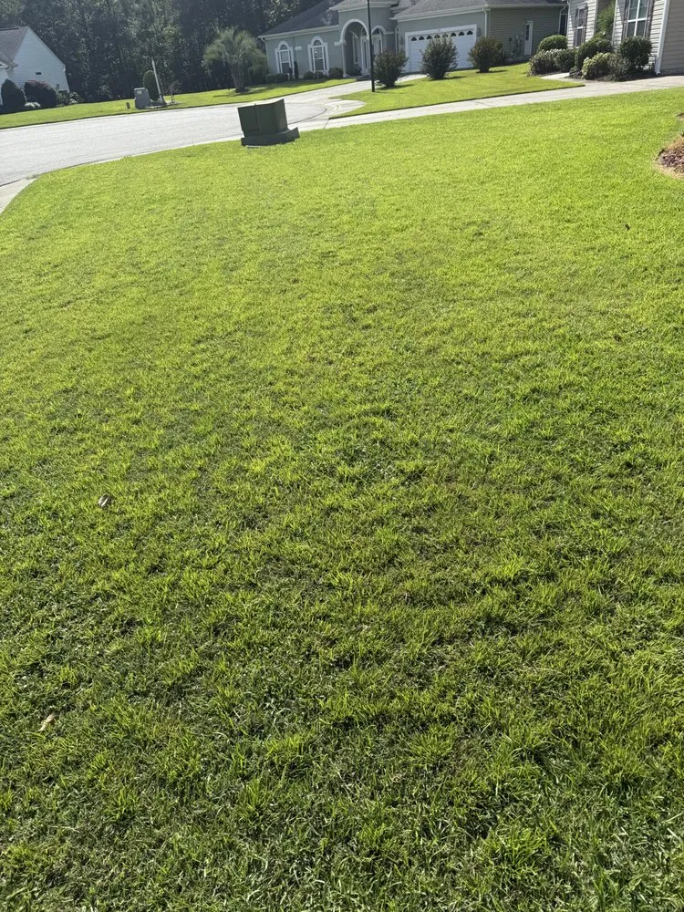 Top-rated yard maintenance for residential properties across Loris, SC - Bandidos Landscaping