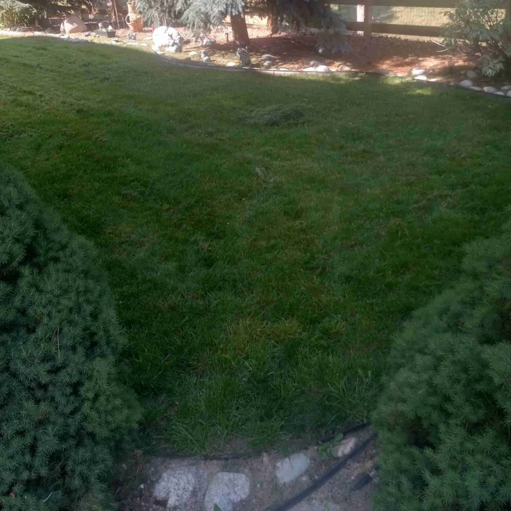 Professional lawn mowing service for beautiful yards across Arvada, CO - Bandit Pressure