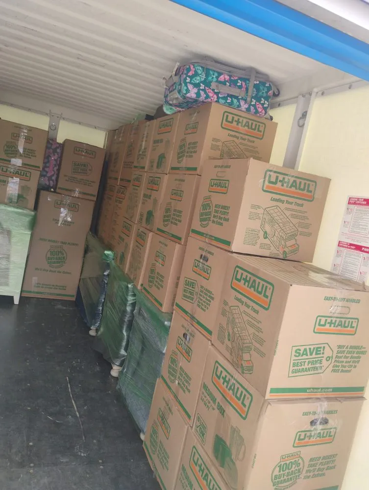 Trusted yard cleanup service for homes across Arvada, CO - Bandit Pressure