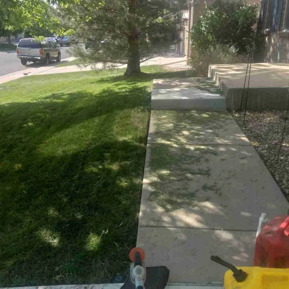 Local yard cleanup service for year-round maintenance in Arvada, CO by Bandit Pressure