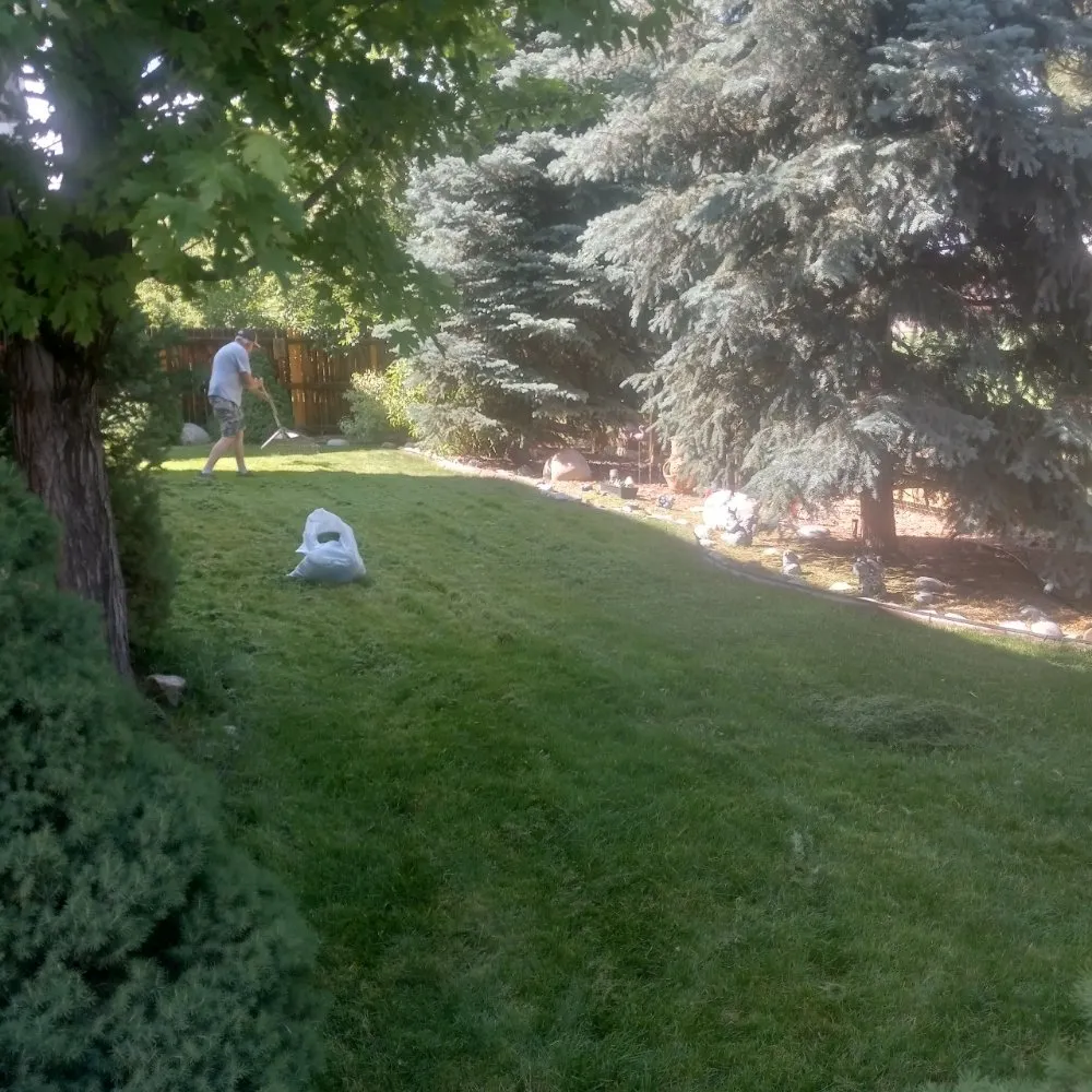 Reliable outdoor landscaping experts serving Arvada, CO - Bandit Pressure