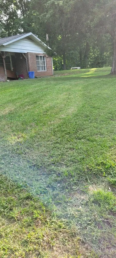 Top-rated yard cleanup service experts serving Anniston, AL - Bandits Lawn care