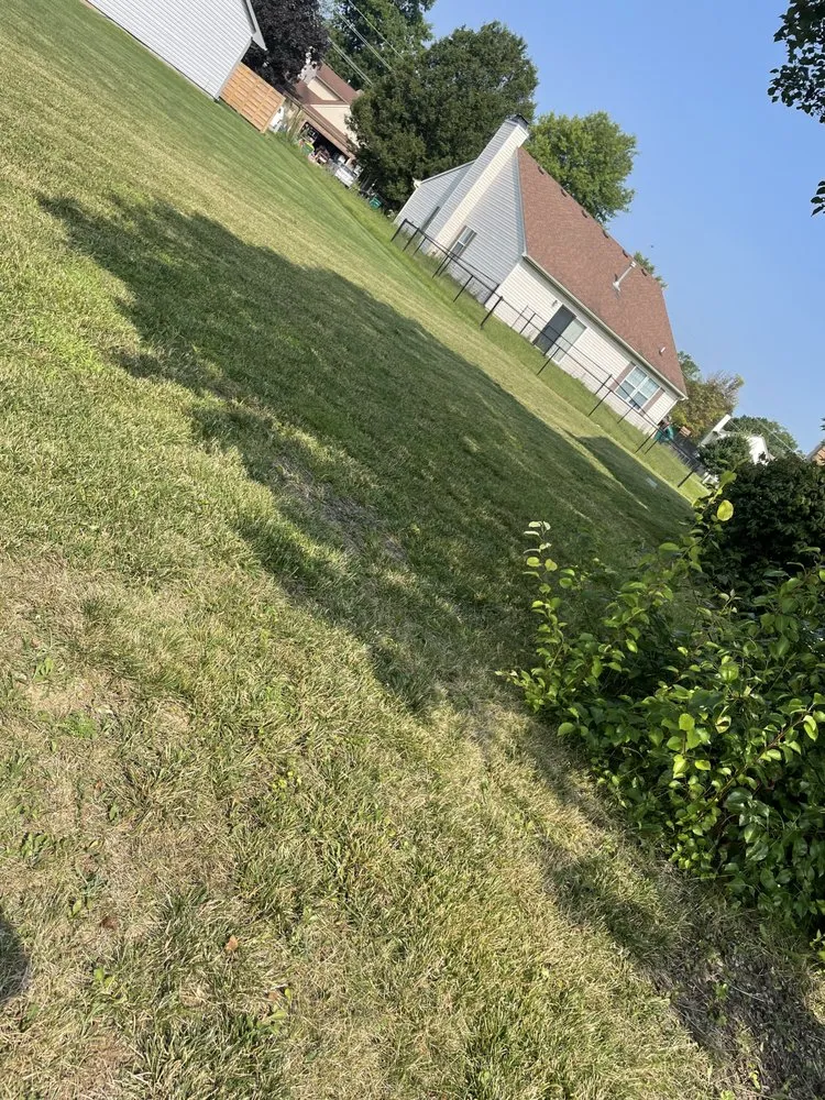 Trusted outdoor landscaping experts serving Avon, IN - Bandys Lawn Care