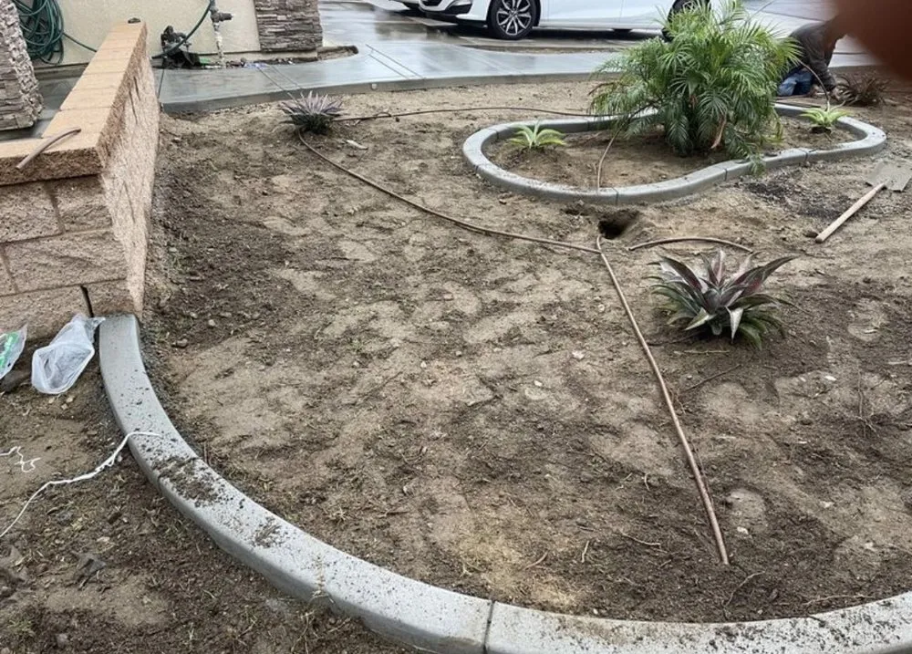Trusted garden landscaping for homes across Perris, CA - Baneberry Landscape Construction