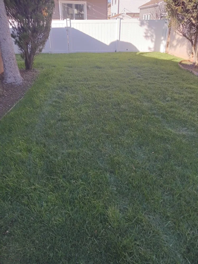 Professional landscaping services for residential properties in Egg Harbor Township, NJ by Banega's Landscaping