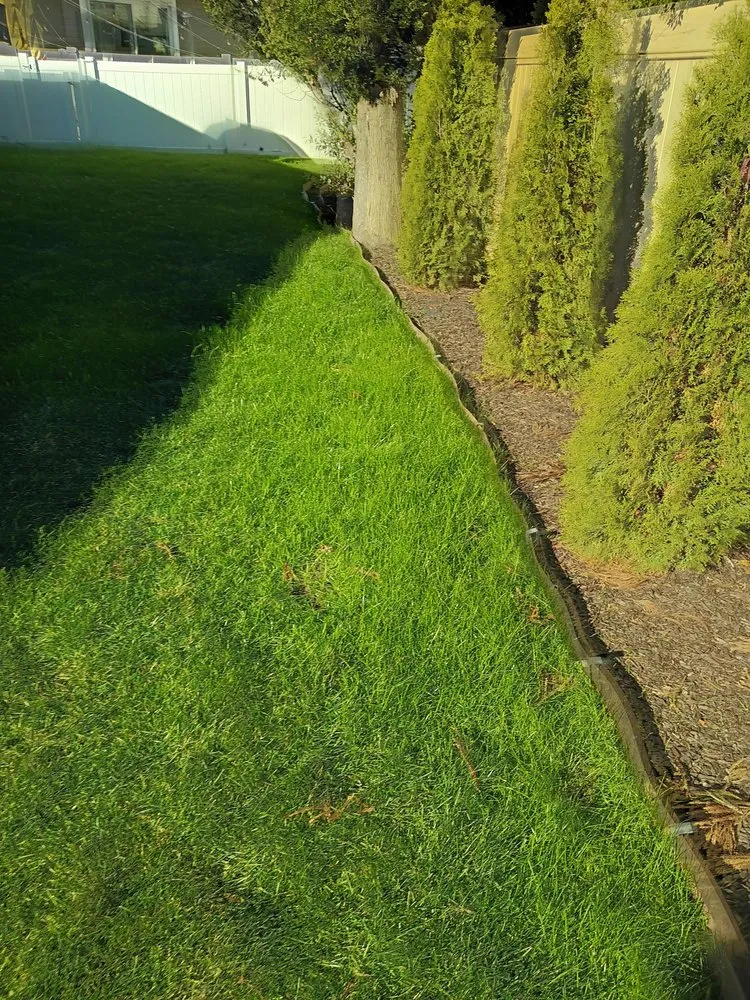 Reliable yard cleanup service in Egg Harbor Township, NJ by Banega's Landscaping