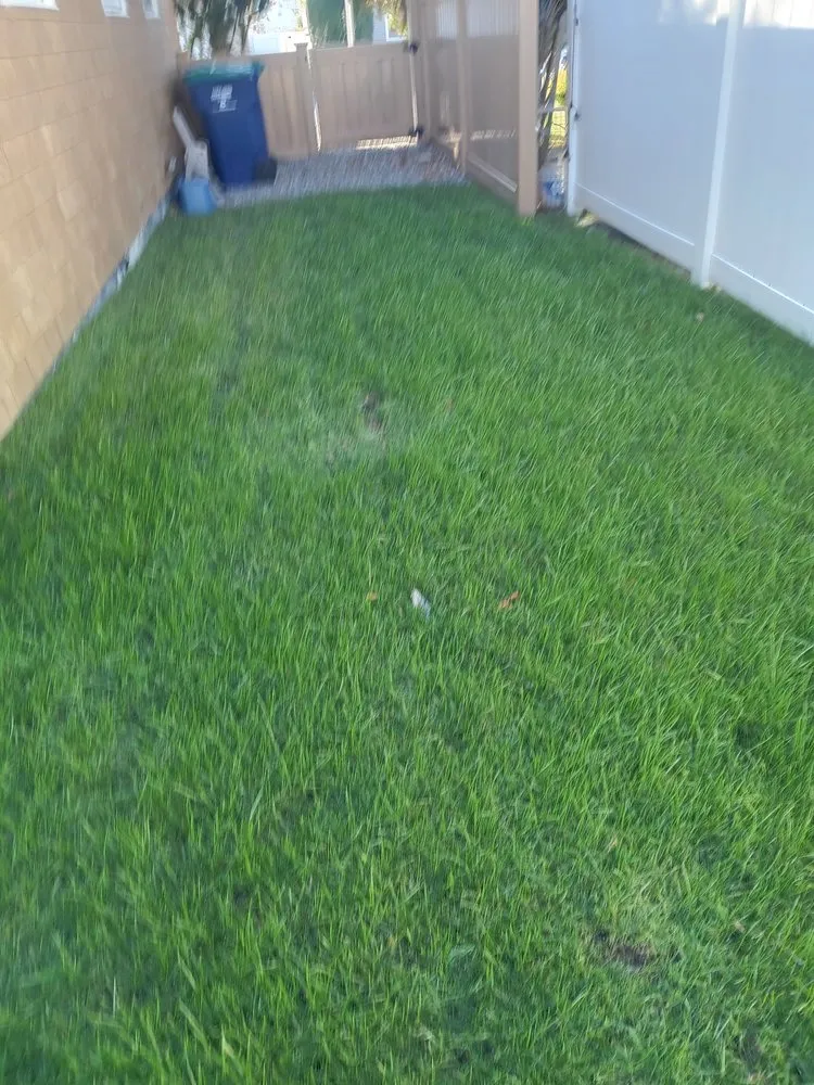 Expert lawn care service in Egg Harbor Township, NJ - Banega's Landscaping