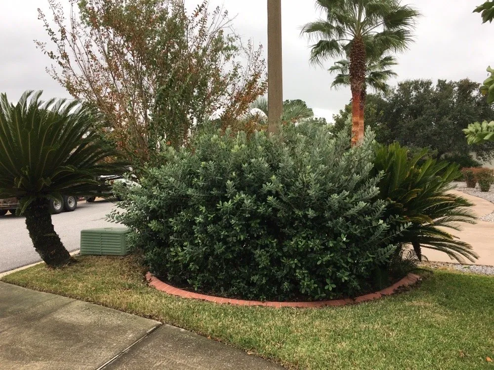 Trusted outdoor landscaping in Pace, FL by Banfield's Landscaping and Lawn care