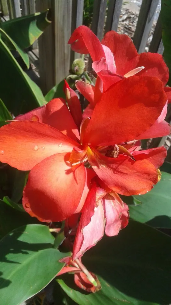 Reliable outdoor landscaping in Pace, FL - Banfield's Landscaping and Lawn care