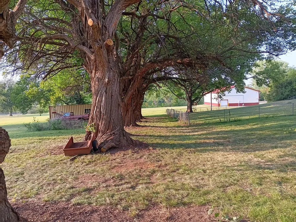 Trusted lawn care service experts serving Topeka, KS - Bang Stick Customs