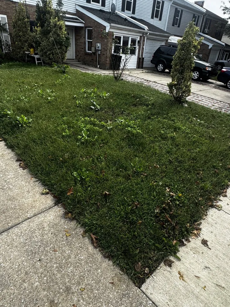 Top-rated outdoor landscaping in Philadelphia, PA by Bani Systems