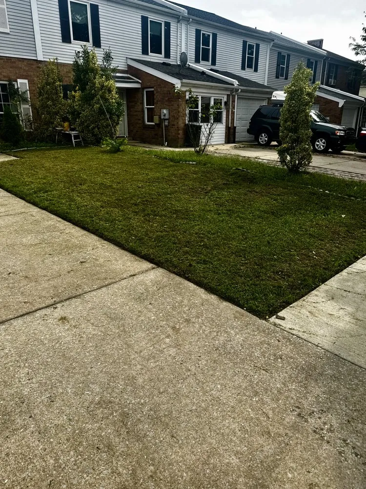 Local garden landscaping in Philadelphia, PA - Bani Systems