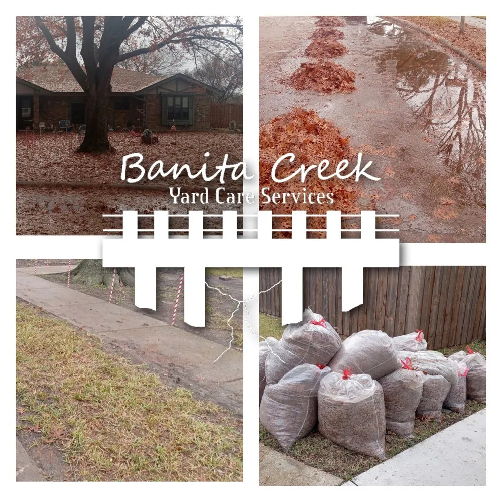 Professional yard maintenance in Richardson, TX - Banita Creek Yard Care Services