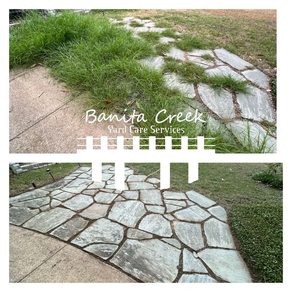 Professional yard cleanup service in Richardson, TX by Banita Creek Yard Care Services