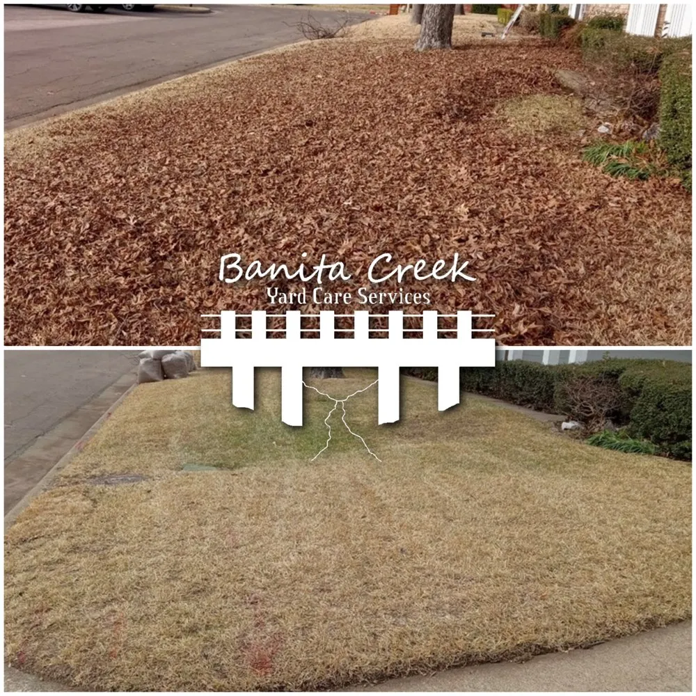 Top-rated landscape installation experts serving Richardson, TX - Banita Creek Yard Care Services