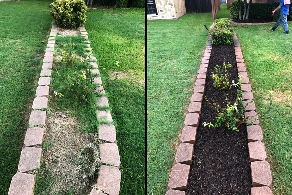Local landscaping services in Richardson, TX - Banita Creek Yard Care Services