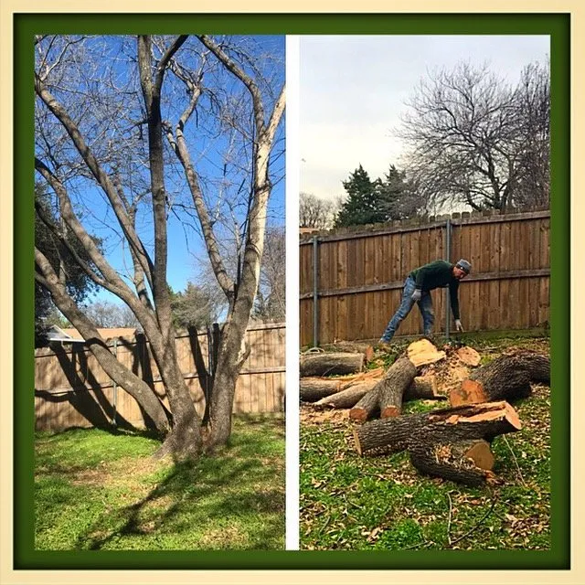 Professional residential landscaping for homes across Richardson, TX - Banita Creek Yard Care Services