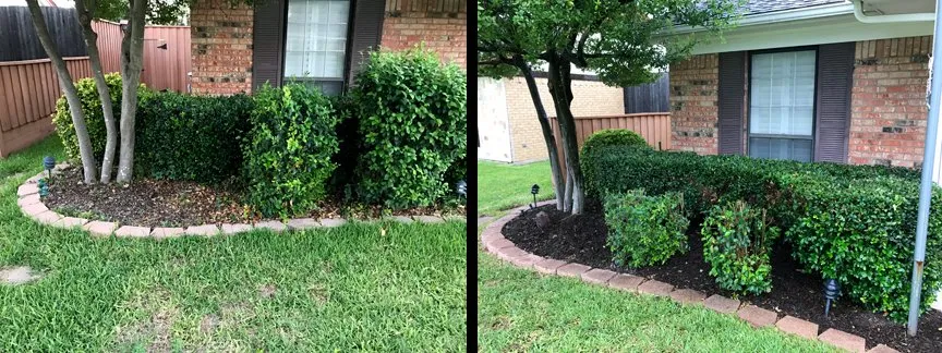 Custom outdoor landscaping for year-round maintenance in Richardson, TX by Banita Creek Yard Care Services