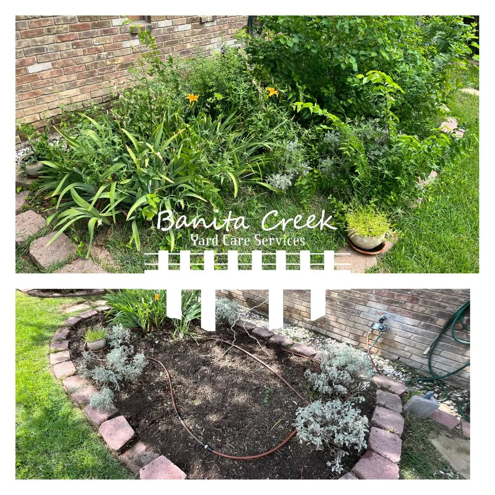 Expert yard cleanup service experts serving Richardson, TX - Banita Creek Yard Care Services