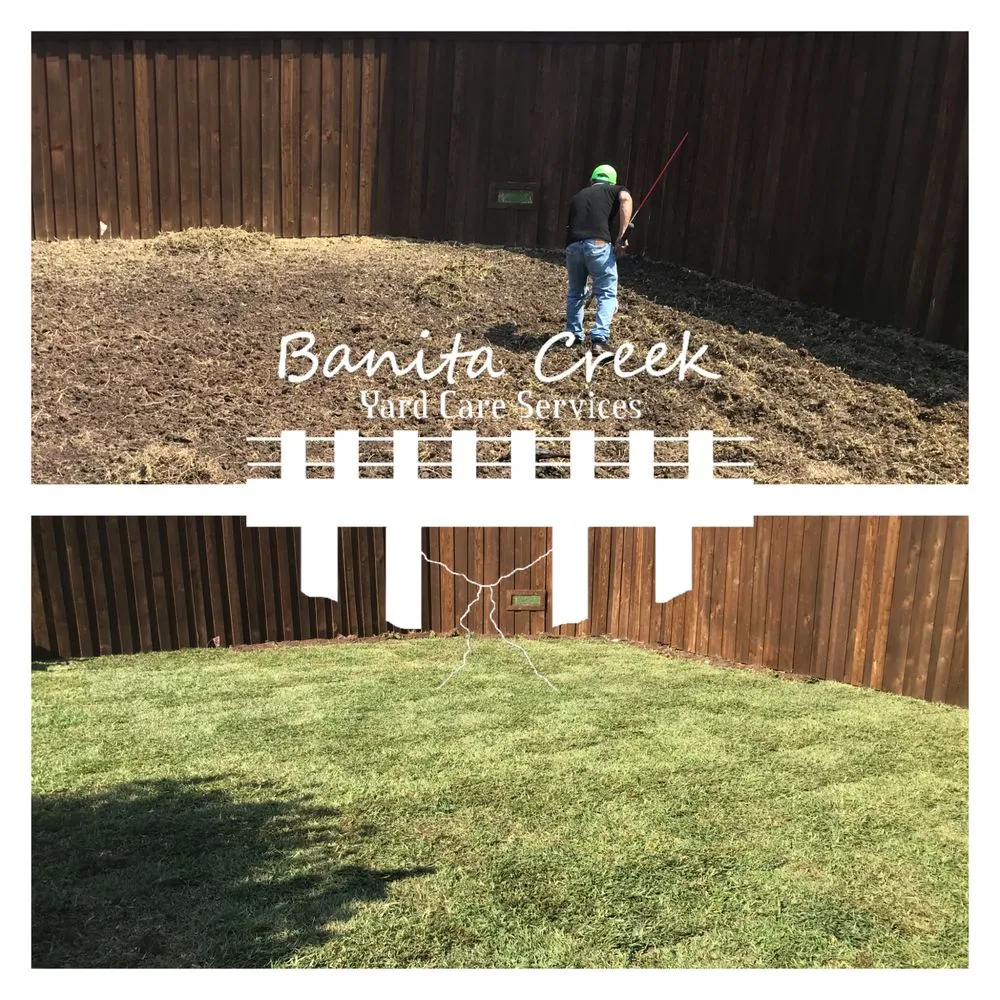 Top-rated outdoor landscaping in Richardson, TX - Banita Creek Yard Care Services