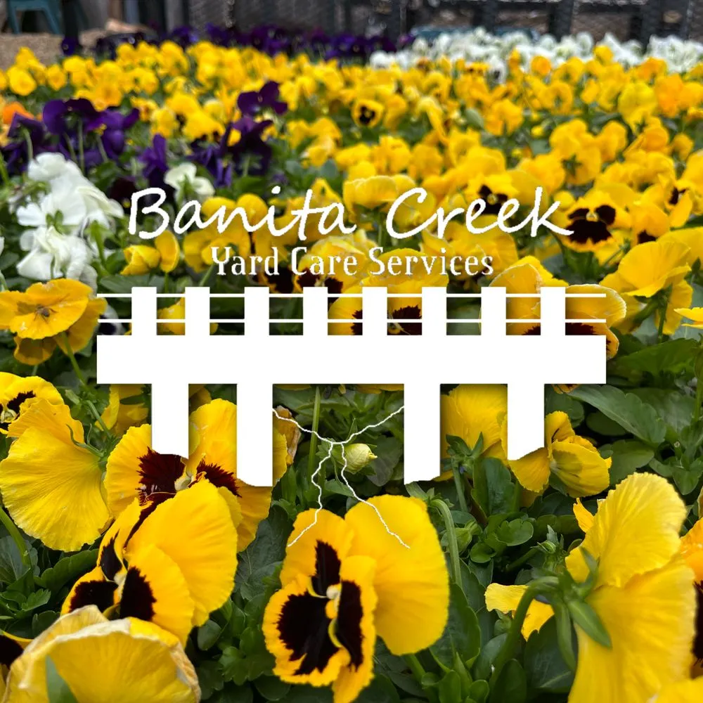 Custom yard cleanup service experts serving Richardson, TX - Banita Creek Yard Care Services