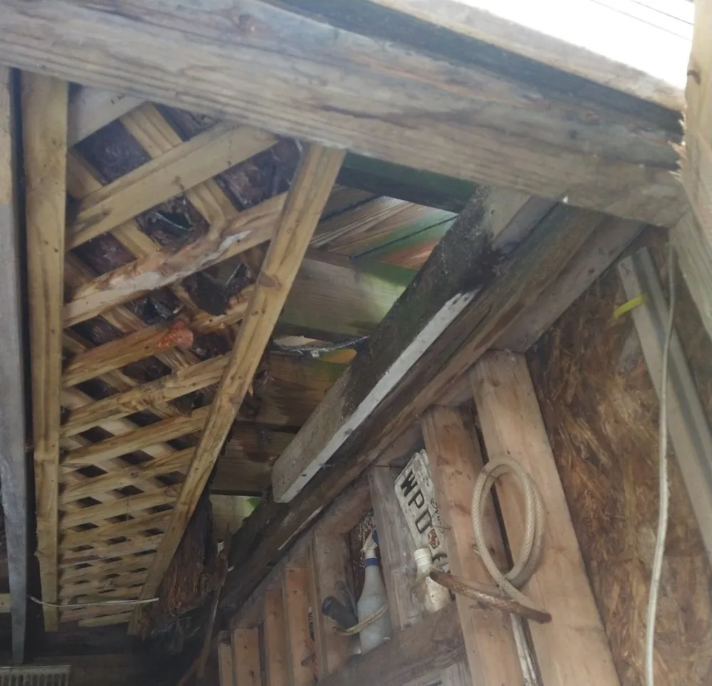 Expert yard cleanup service experts serving Clinton, MD - Bankhead Landscaping