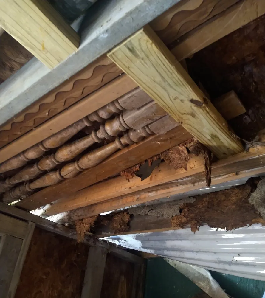 Top-rated yard maintenance for year-round maintenance across Clinton, MD - Bankhead Landscaping