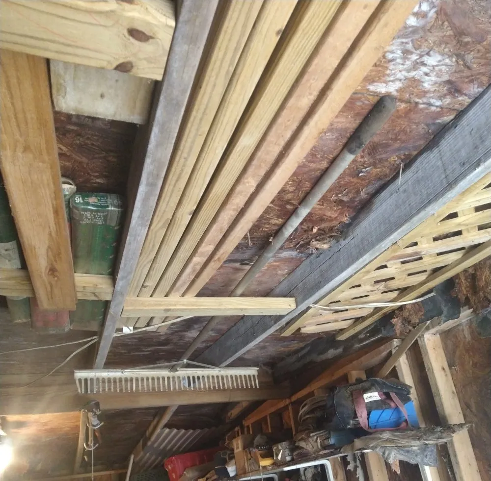 Professional yard cleanup service for beautiful yards in Clinton, MD by Bankhead Landscaping