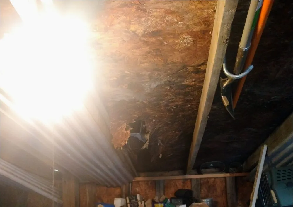 Reliable landscape design in Clinton, MD by Bankhead Landscaping