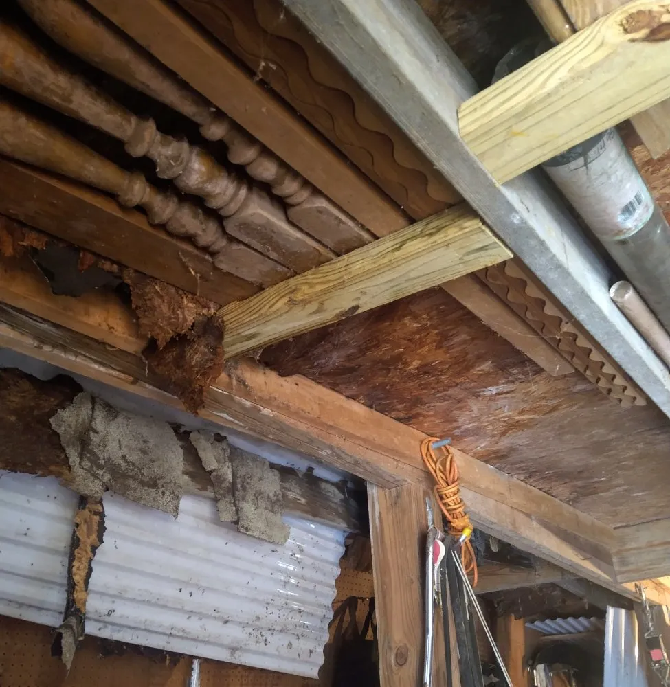 Reliable yard maintenance in Clinton, MD by Bankhead Landscaping