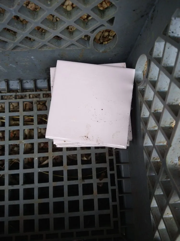 Local lawn care service for beautiful yards in Clinton, MD by Bankhead Landscaping