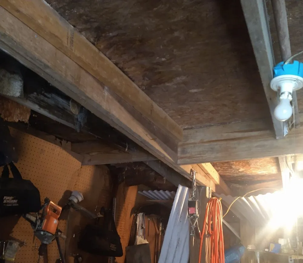 Professional residential landscaping for year-round maintenance across Clinton, MD - Bankhead Landscaping