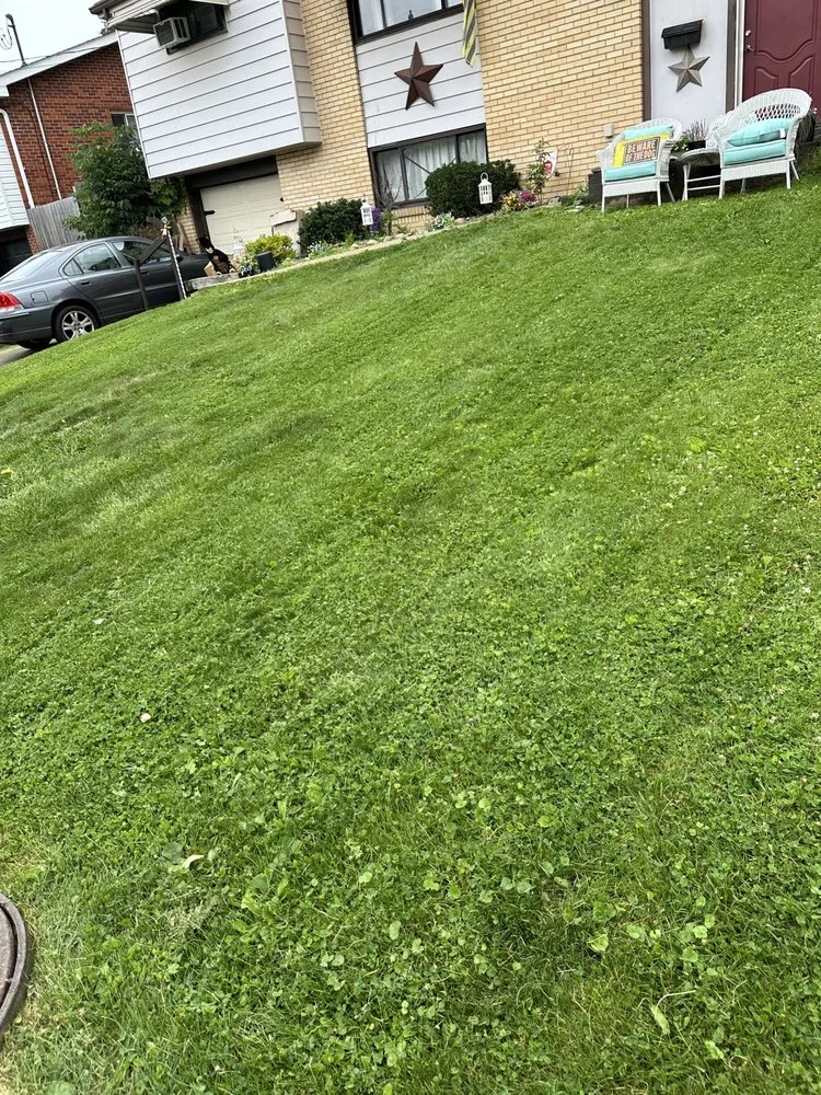 Custom lawn care service with custom design in Pittsburgh, PA by Banks Landscaping