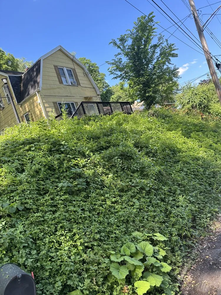 Professional landscaping services experts serving Pittsburgh, PA - Banks Landscaping