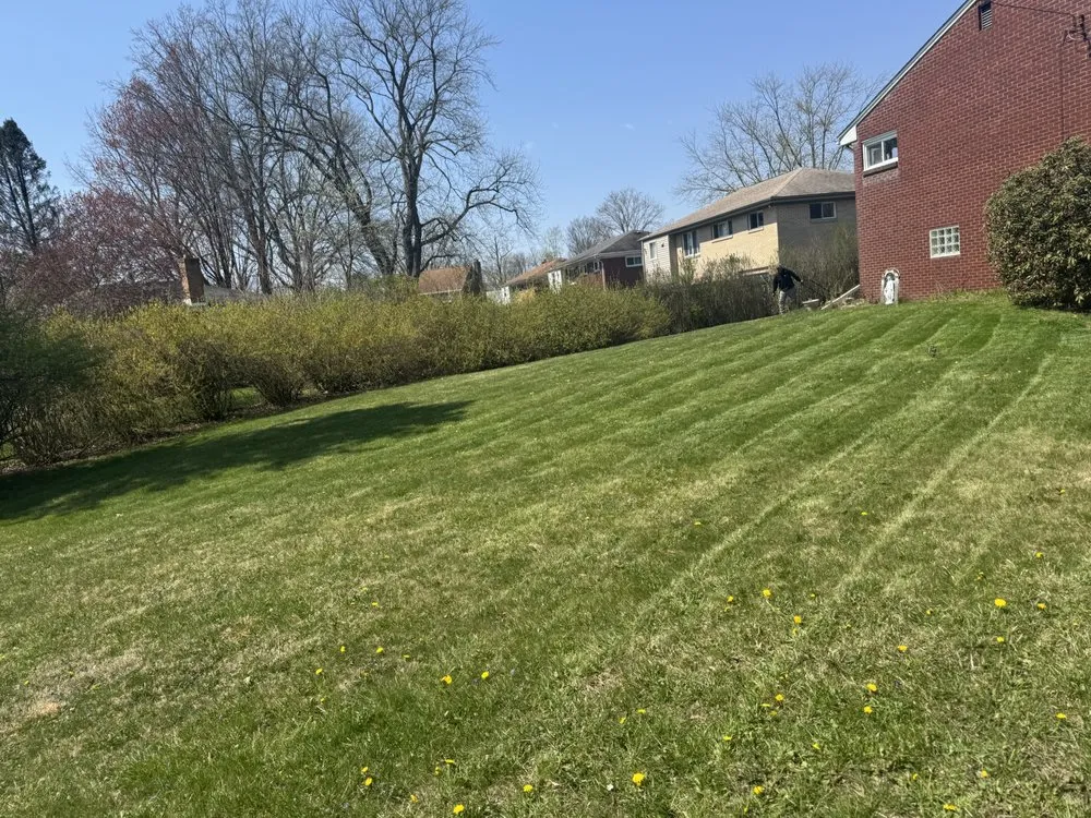 Affordable yard cleanup service experts serving Pittsburgh, PA - Banks Landscaping