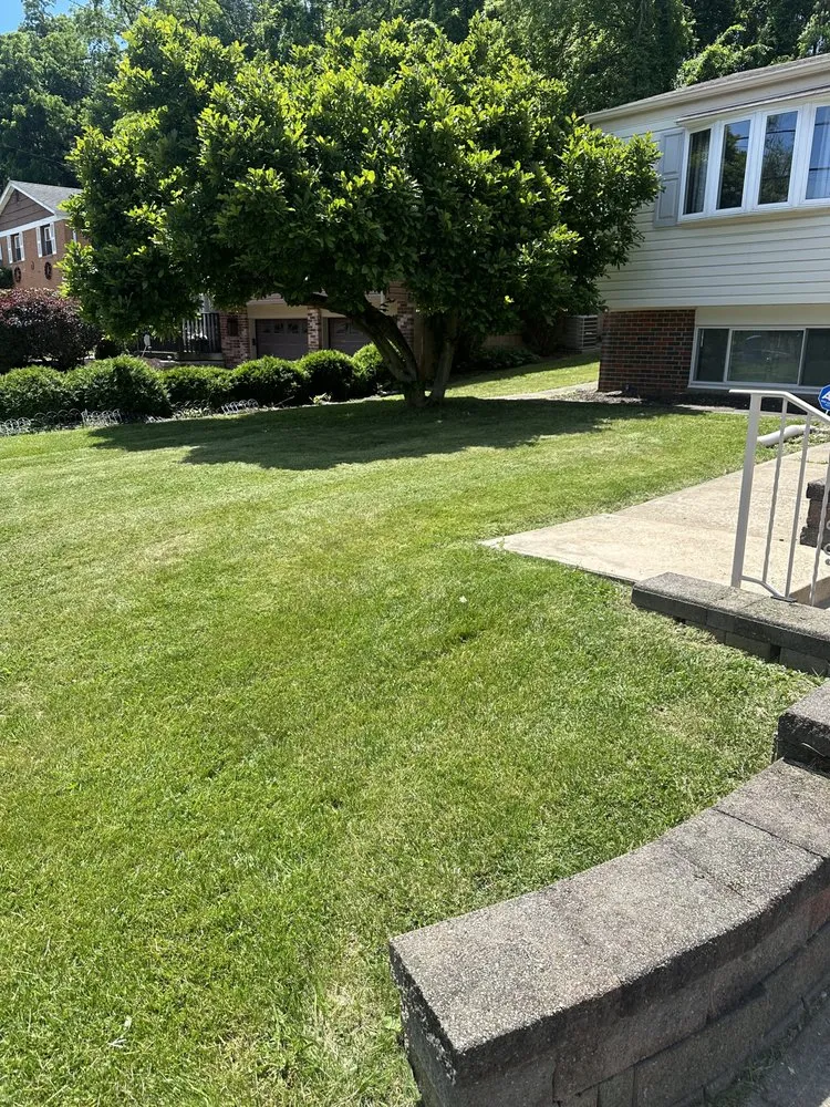Local residential landscaping experts serving Pittsburgh, PA - Banks Landscaping