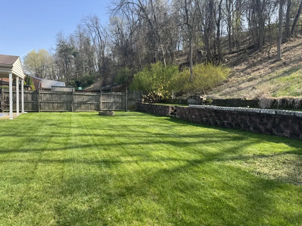 Reliable yard cleanup service in Pittsburgh, PA by Banks Landscaping