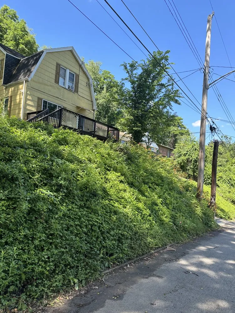 Professional lawn mowing service in Pittsburgh, PA by Banks Landscaping