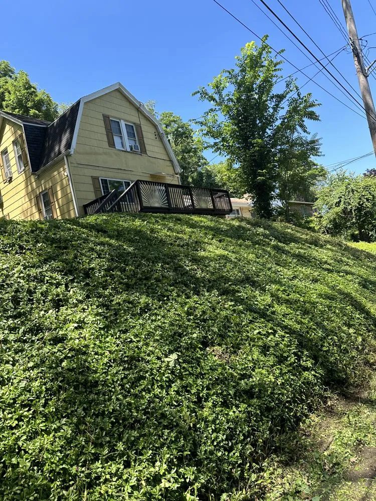 Trusted yard maintenance in Pittsburgh, PA - Banks Landscaping