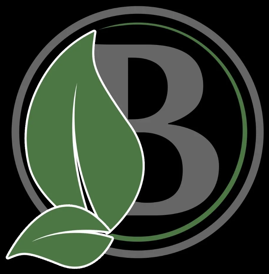 Reliable yard cleanup service for year-round maintenance across Lee's Summit, MO - Banks Lawn & Landscape