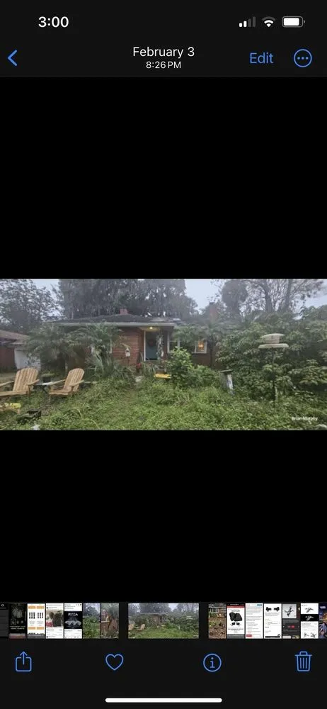 Professional garden landscaping for outdoor upgrades across Maitland, FL - Banks Ridge Landscaping