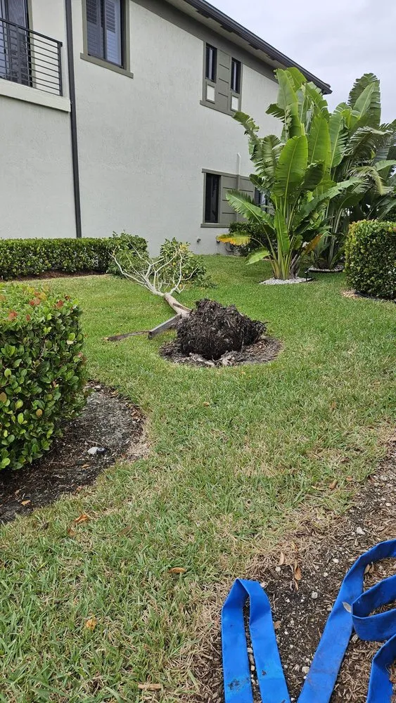 Local residential landscaping for beautiful yards in Wahneta, FL by Bankston’s Lawn Care