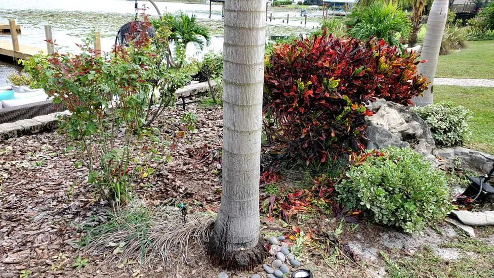 Expert landscape design for outdoor upgrades across Wahneta, FL - Bankston’s Lawn Care