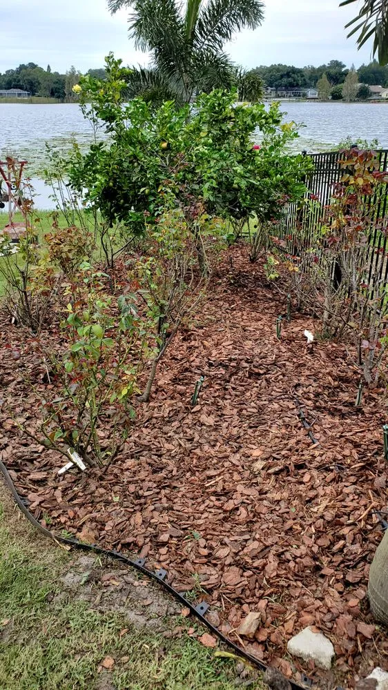 Trusted residential landscaping in Wahneta, FL - Bankston’s Lawn Care