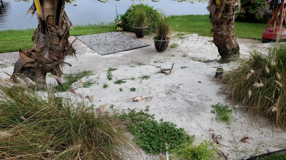 Professional landscape installation in Wahneta, FL - Bankston’s Lawn Care
