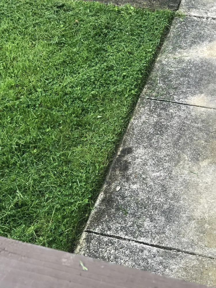 Professional yard maintenance for homes in Norwood, PA by Bannan Landscaping Services