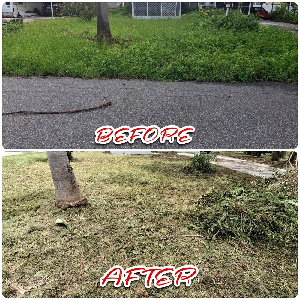 Reliable yard cleanup service for residential properties in Eustis, FL by Banners Blazin Lawn Care
