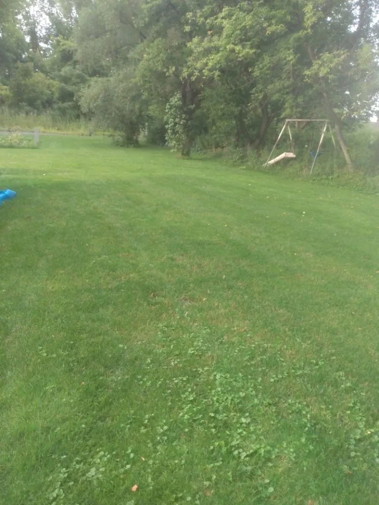 Reliable yard maintenance in Big Flats, NY - Banner's Mowing